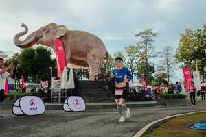 BIB: 
                            <button type="button" onclick="openModal(26529172)" class="btn btn-primary btn-sm float-right btn-popup" data-toggle="modal" data-target=".modal-high-quality">
                        <i class="fas fa-shopping-cart"></i> Add to Cart
                    </button>
                                            <button type="button" onclick="isThisMe(26529172, true)" class="btn btn-success btn-sm float-right btn-popup btn-isme hidden" data-toggle="tooltip" data-placement="bottom" title="นี่คือรูปของคุณใช่ไหม คลิกที่นี่เพื่อเอาเข้าอัลบั้ม">
                        <i class="fas fa-plus"></i> Add to album
                    </button>
                    <button type="button" onclick="isThisMe(26529172, false)" class="btn btn-warning btn-sm float-right btn-popup btn-isnotme hidden">
                        <i class="fas fa-ban"></i> Remove from album
                    </button>